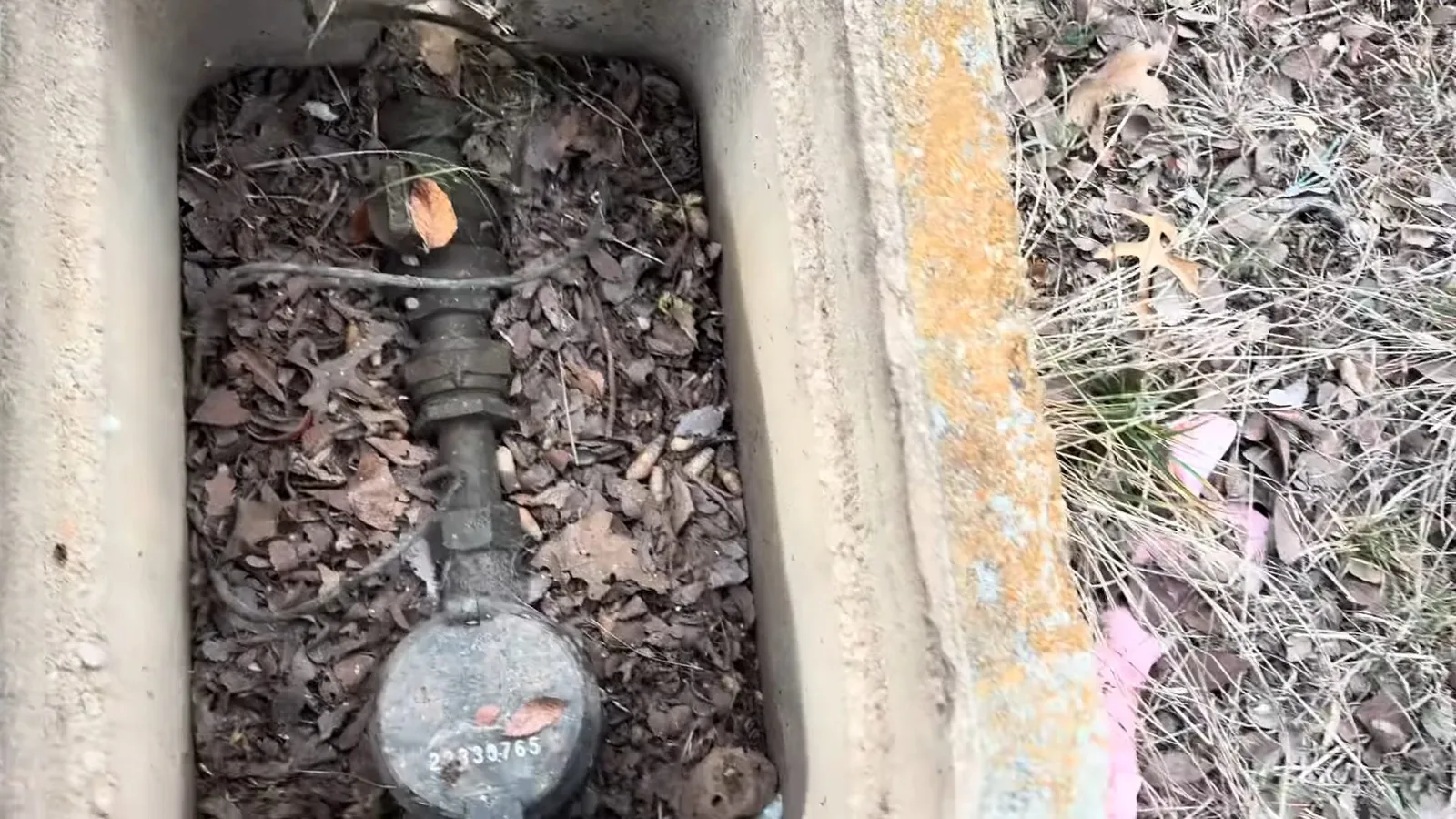 Round water meter and brass fittings inside an open concrete ground box, covered in leaves and pine needles.