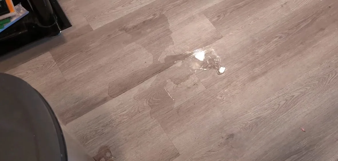 Small puddle of water on a gray wood-look floor.